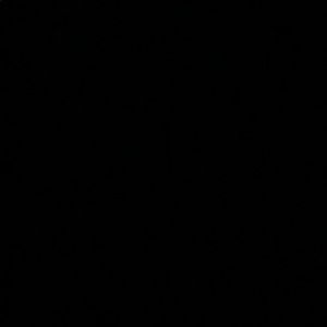 Meet your Posher, Liv